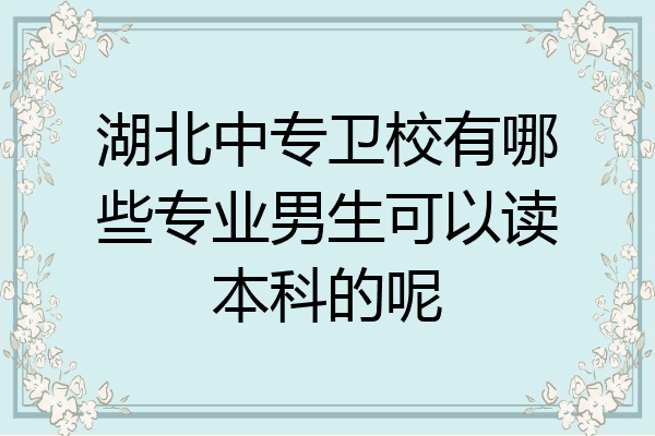 湖北中专卫校有哪些专业男生可以读本科的呢