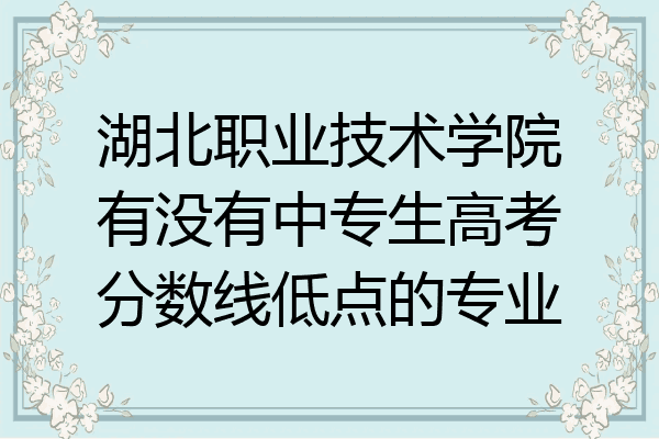 湖北职业技术学院有没有中专生高考分数线低点的专业