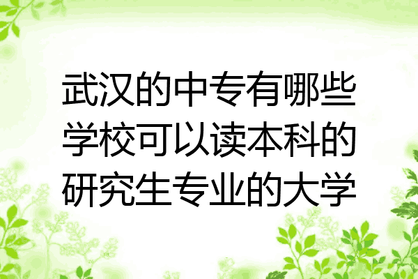 武汉的中专有哪些学校可以读本科的研究生专业的大学