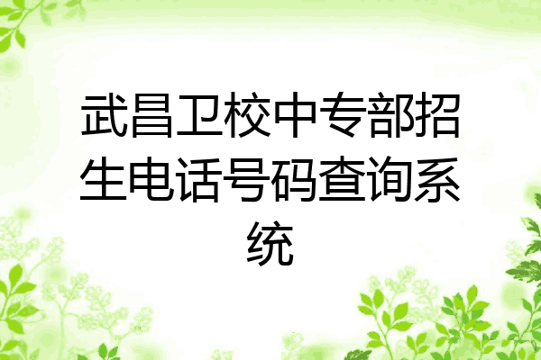 武昌卫校中专部招生电话号码查询系统