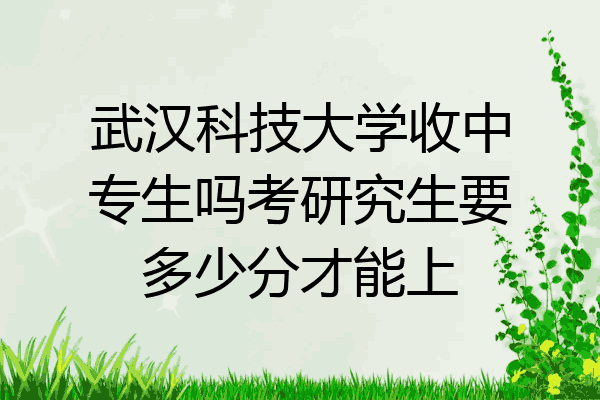 武汉科技大学收中专生吗考研究生要多少分才能上