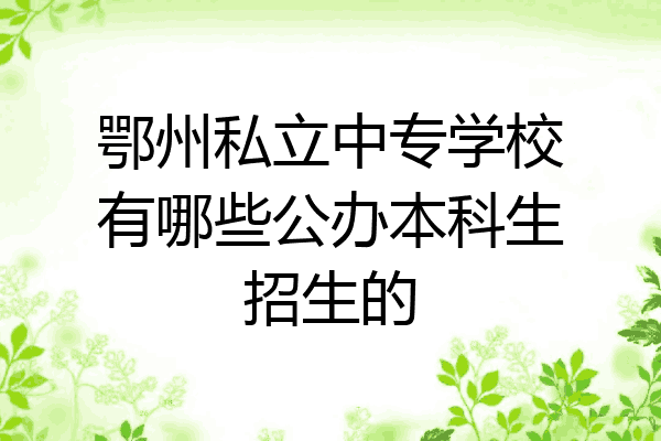 鄂州私立中专学校有哪些公办本科生招生的