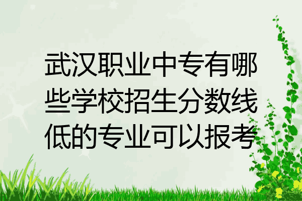 武汉职业中专有哪些学校招生分数线低的专业可以报考