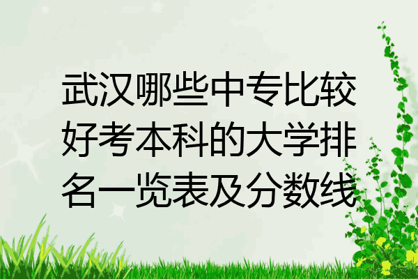 武汉哪些中专比较好考本科的大学排名一览表及分数线