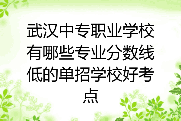 武汉中专职业学校有哪些专业分数线低的单招学校好考点