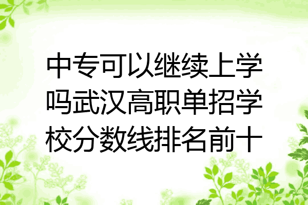 中专可以继续上学吗武汉高职单招学校分数线排名前十