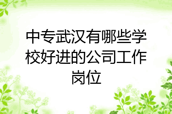 中专武汉有哪些学校好进的公司工作岗位