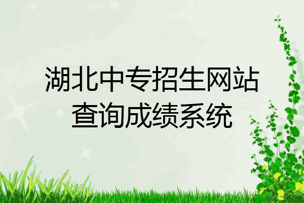 湖北中专招生网站查询成绩系统