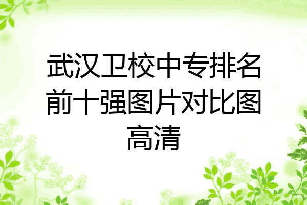 武汉卫校中专排名前十强图片对比图高清