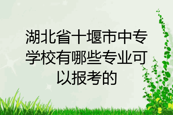 湖北省十堰市中专学校有哪些专业可以报考的