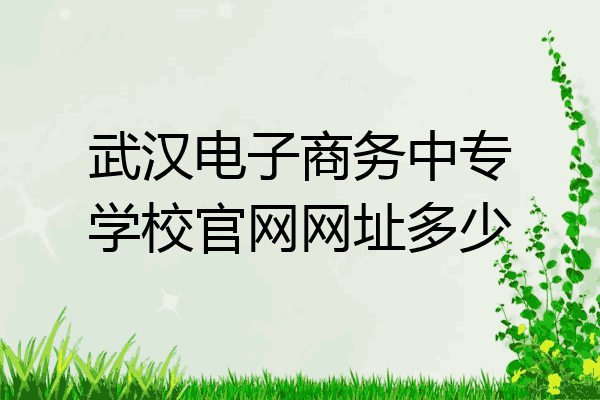 武汉电子商务中专学校官网网址多少