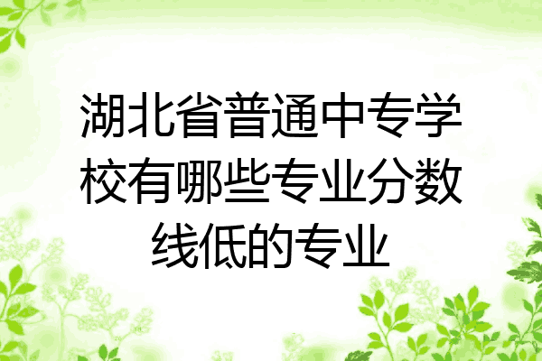湖北省普通中专学校有哪些专业分数线低的专业