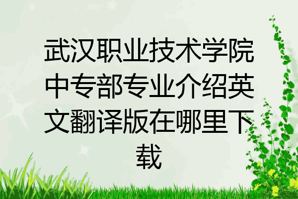 武汉职业技术学院中专部专业介绍英文翻译版在哪里下载