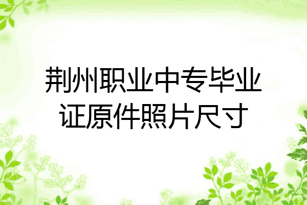 荆州职业中专毕业证原件照片尺寸
