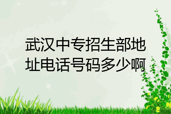 武汉中专招生部地址电话号码多少啊