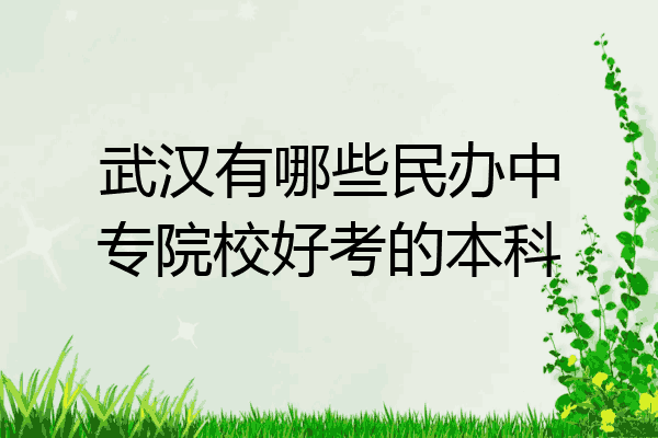 武汉有哪些民办中专院校好考的本科