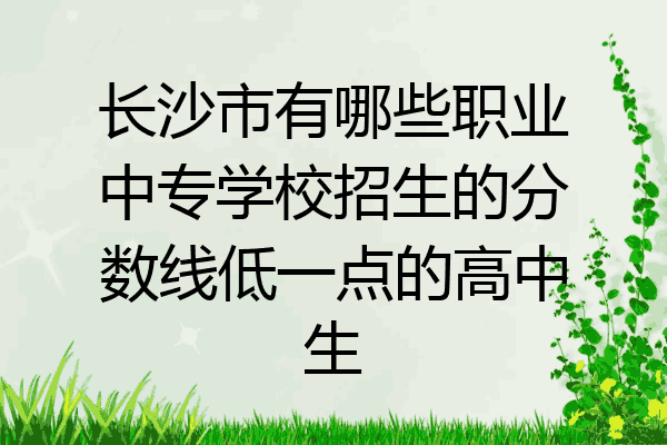 长沙市有哪些职业中专学校招生的分数线低一点的高中生