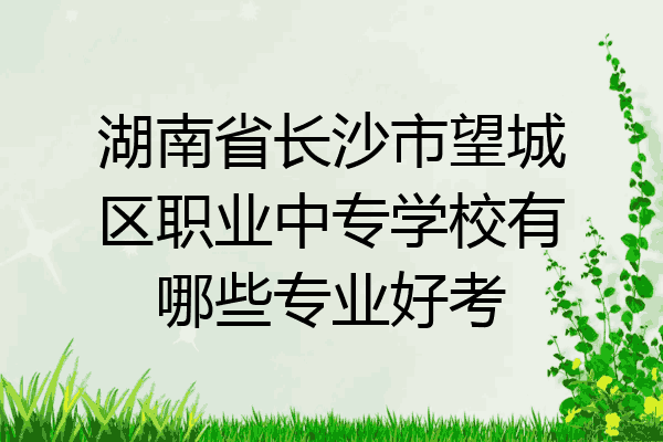 湖南省长沙市望城区职业中专学校有哪些专业好考
