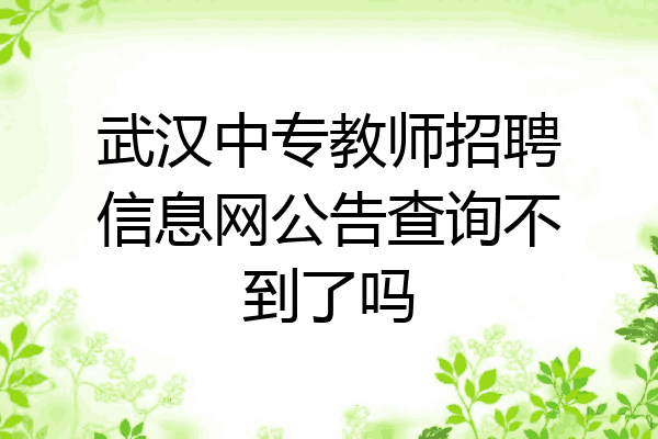 武汉中专教师招聘信息网公告查询不到了吗