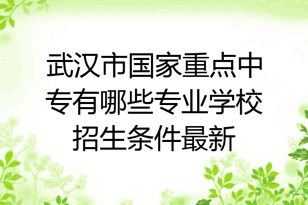 武汉市国家重点中专有哪些专业学校招生条件最新