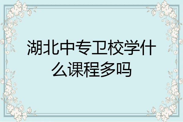 湖北中专卫校学什么课程多吗
