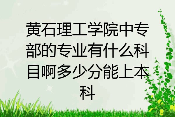 黄石理工学院中专部的专业有什么科目啊多少分能上本科