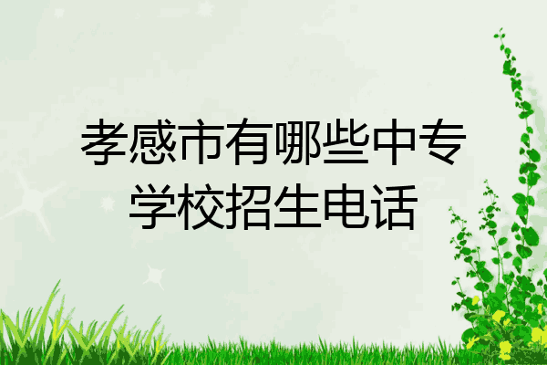 孝感市有哪些中专学校招生电话