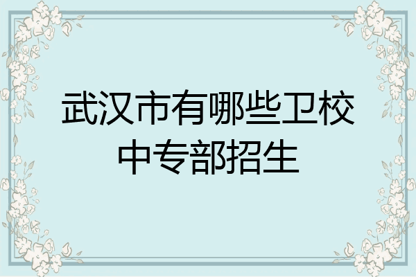 武汉市有哪些卫校中专部招生