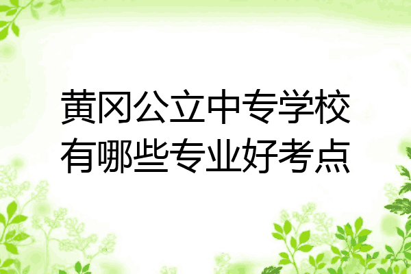 黄冈公立中专学校有哪些专业好考点