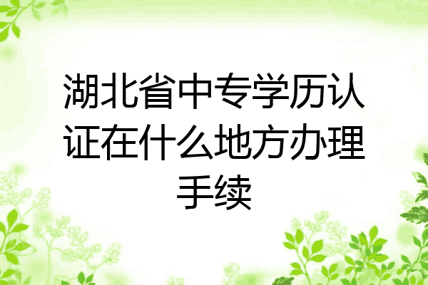 湖北省中专学历认证在什么地方办理手续