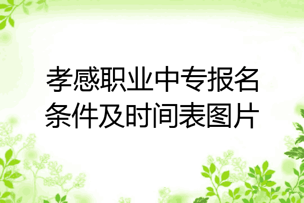 孝感职业中专报名条件及时间表图片