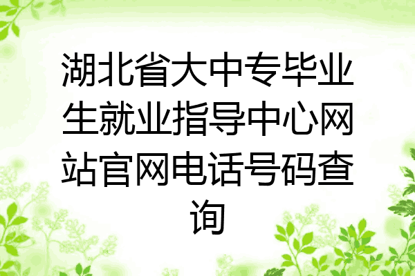 湖北省大中专毕业生就业指导中心网站官网电话号码查询