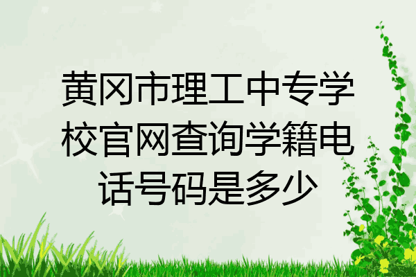黄冈市理工中专学校官网查询学籍电话号码是多少
