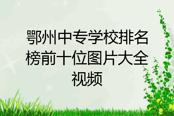 鄂州中专学校排名榜前十位图片大全视频