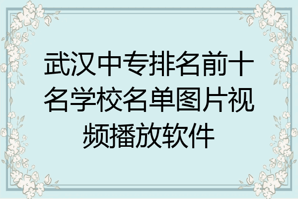 武汉中专排名前十名学校名单图片视频播放软件