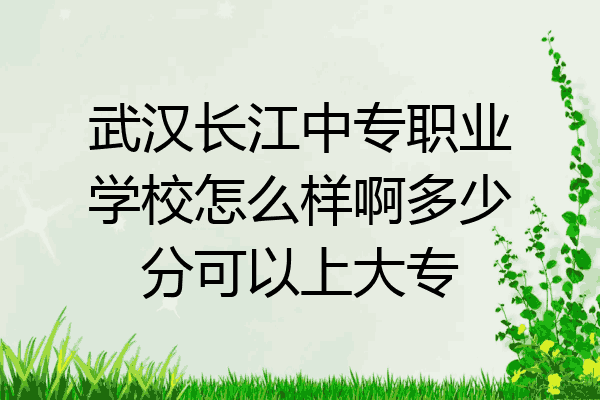 武汉长江中专职业学校怎么样啊多少分可以上大专
