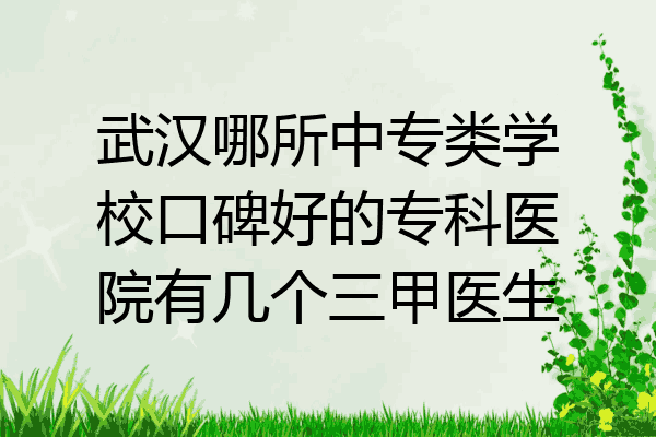 武汉哪所中专类学校口碑好的专科医院有几个三甲医生