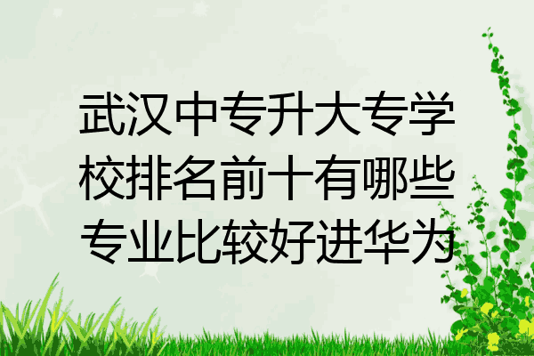 武汉中专升大专学校排名前十有哪些专业比较好进华为