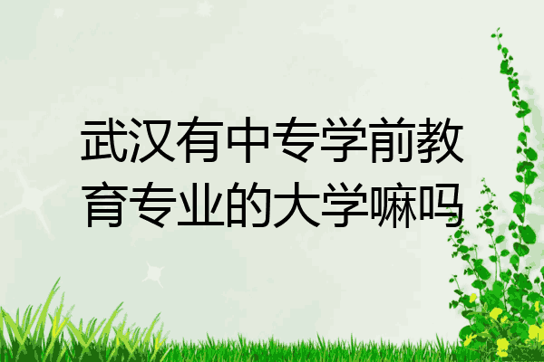 武汉有中专学前教育专业的大学嘛吗