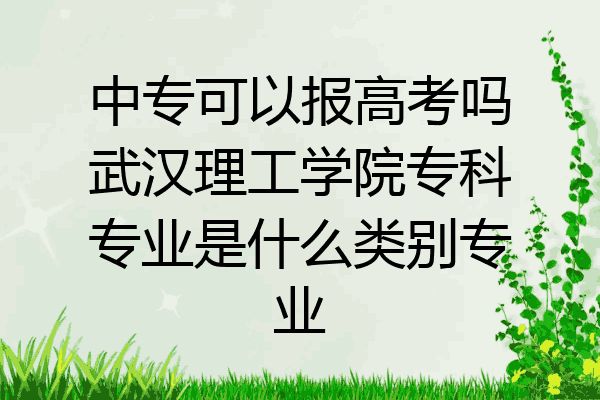 中专可以报高考吗武汉理工学院专科专业是什么类别专业