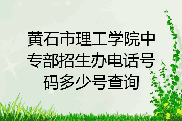 黄石市理工学院中专部招生办电话号码多少号查询