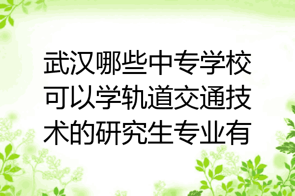 武汉哪些中专学校可以学轨道交通技术的研究生专业有