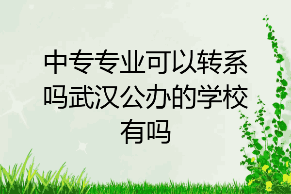 中专专业可以转系吗武汉公办的学校有吗