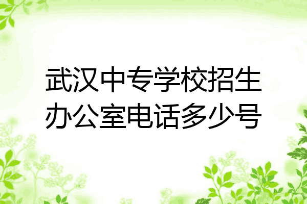 武汉中专学校招生办公室电话多少号