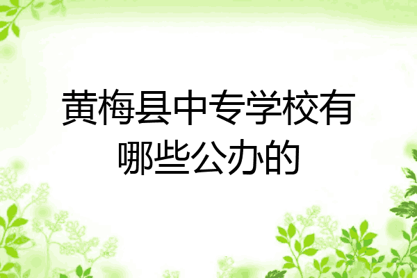 黄梅县中专学校有哪些公办的