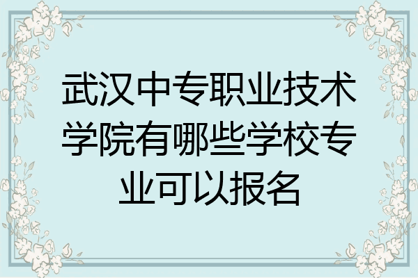 武汉中专职业技术学院有哪些学校专业可以报名