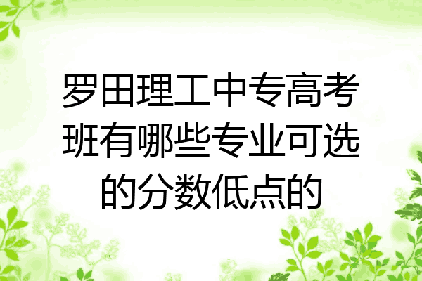 罗田理工中专高考班有哪些专业可选的分数低点的
