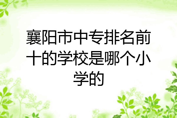 襄阳市中专排名前十的学校是哪个小学的