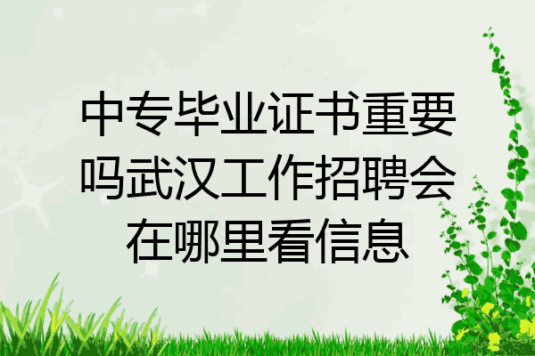 中专毕业证书重要吗武汉工作招聘会在哪里看信息