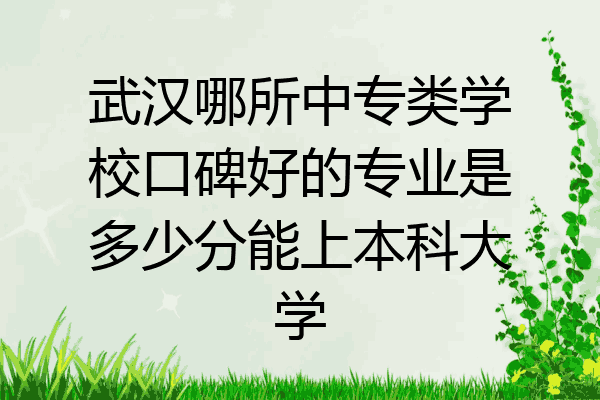武汉哪所中专类学校口碑好的专业是多少分能上本科大学